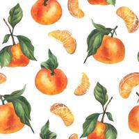Orange tangerines with green branch and leaves, citrus tropical fruit, whole and slices. Watercolor illustration, hand drawn. Seamless pattern on a white background. vector