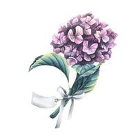 A pink hydrangea flower with a satin bow and a paper tag for the inscription. Watercolor illustration. An isolated object from the WEDDING FLOWERS collection. For the design and design of printing vector