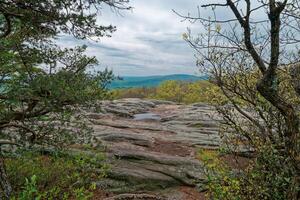 Overlook view at Black mountain in Tennessee photo