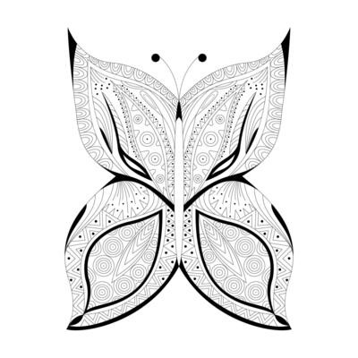 Coloring book page for adults. Butterfly detailing. illustration