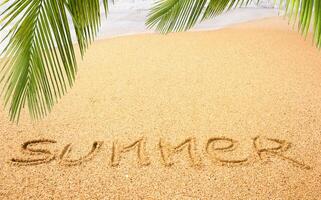 sandy beach with the inscription SUMMER on a sunny day under a palm tree. High quality photo