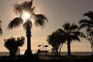 silhouette a man reads a book on the coast under palm trees on a bench in the form of a lantern with umbrellas. High quality photo