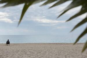 Rear view portrait of a man relaxing sitting on the beach and looking at the sea in the background. High quality photo