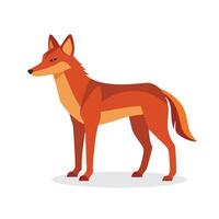 Ethiopian Wolf animal isolated flat illustration on white background vector