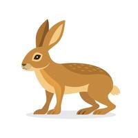 Hare animal flat isolated illustration on white background. vector