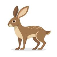 Springhare animal isolated flat illustration on white background vector