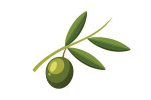 Olive with branch flat illustration on white background vector
