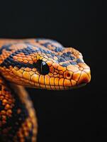 Snake isolated on black background photo