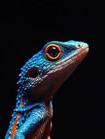Lizard isolated on black background photo