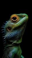 Lizard isolated on black background photo