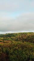 Beautiful landscape of rural place with brown meadows and fields. Panorama of natural environment with hills and forests under the sky. Slow motion of camera Vertical video