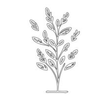 Lavender flower plant illustration sketch outline vector