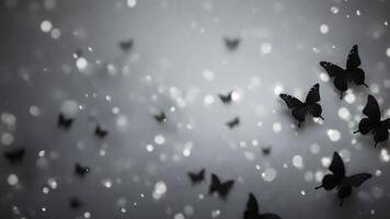 Black butterfly bokeh gray dark background. photo