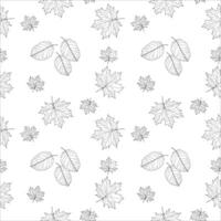 Intricate pattern of autumn leaves for coloring. Ideal for kids and adults to relax and get creative. Perfect for fall-themed activities. vector