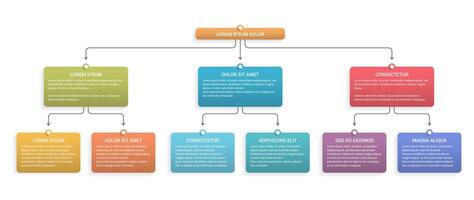 Flowchart with 3 levels, infographic template vector