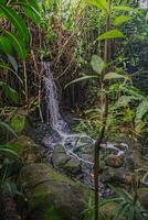 Wonderful streams captured in the camera's high-speed shutter mode resulted in a freeze-splash water image in the Melaka public park area, on the west coast of Malaysia. photo