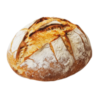 Freshly baked artisan bread from a local bakery png