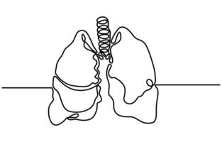 Lungs Hand drawn icon continuous line drawing vector