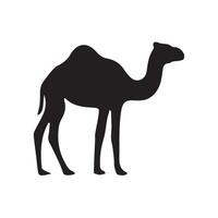 Camel Silhouette isolated on white background vector