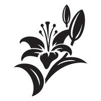 A white background with an isolated graphic silhouette of a lily flower vector