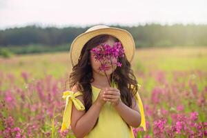 A beautiful playful little girl in a straw hat, holds a bouquet of burgundy viscaria flowers photo