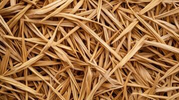 Warm rough straw texture with faint corn patterns Lughnasadh rustic harvest feel golden earthy tones ideal for ancient festival celebrations photo