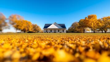 Wide angle shot of a ranch house surrounded by autumn trees with golden leaves scattered on the ground under a clear blue sky photo