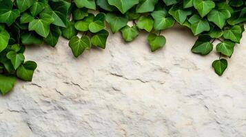 Rough stone texture with faint green vine details Tu BShevat earthy and natural connection to nature rustic and spiritual perfect for seasonal themes photo