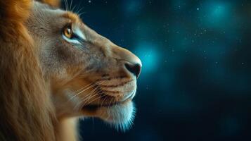 Close up of a lions profile with the Lions Gate portal reflected in its eye cosmic energy swirling around and the stars of Leo constellation faintly glowing in the background photo