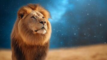 Side view of a lion walking through a shimmering portal with cosmic light patterns and starry constellations visible through the gateway representing the Lions Gate portal photo