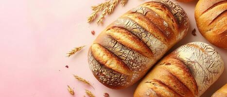 Freshly Baked Artisan Bread Loaves with Wheat Ears on Pink Background photo