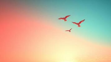 Three Seagulls Flying in a Colorful Sky at Sunset with Gradient Background photo