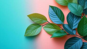 Vibrant Green Leaves on a Colorful Gradient Background - Nature and Botanical Concept photo