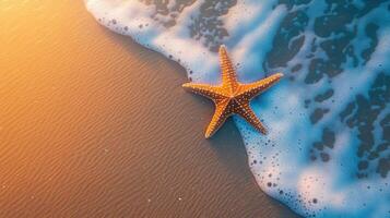 Starfish on Sandy Beach with Gentle Ocean Waves at Sunset photo