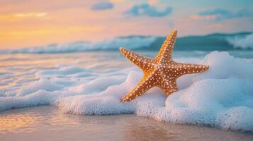 estrella de mar en arenoso playa a puesta de sol con Oceano olas y vistoso cielo en antecedentes foto