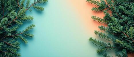 Festive Evergreen Branches on Gradient Background for Holiday and Seasonal Designs photo