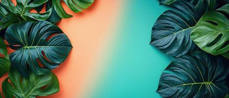 Vibrant Tropical Monstera Leaves on Colorful Background - Nature Inspired Design with Green Foliage and Bright Colors photo