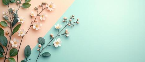 Elegant Floral Arrangement on Pastel Background with Delicate Blossoms and Green Leaves photo