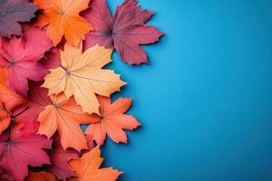 Vibrant Autumn Leaves on Blue Background - Colorful Fall Foliage in Red, Orange, and Yellow Hues photo