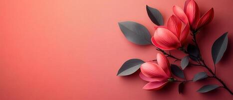 Elegant Red Magnolia Flowers with Dark Green Leaves on a Gradient Coral Background photo