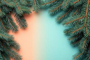 Vibrant Pine Branches on Colorful Gradient Background - Nature and Holiday Theme photo