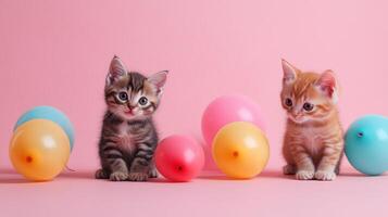 Adorable Kittens with Colorful Balloons on Pink Background - Cute Pet Photography for Celebrations and Decor photo