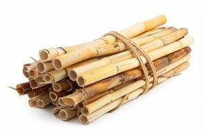 Bundle of dried bamboo stalks tied with twine on white background photo
