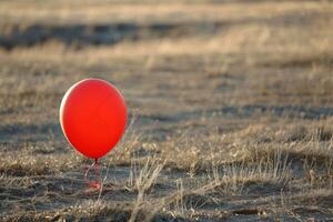 Red balloon standing on dry grassy field photo