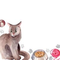 A postcard with pets, a gray cat with food, toys, a ball for the game, a ball, traces of cats. All objects are painted by handwriting. Watercolor illustration. Suitable for printing on paper vector