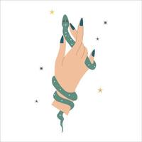 Hand with snake. Esoteric magic hands with snake, moon and stars isolated on white background. Mystical astrology flat illustration. vector