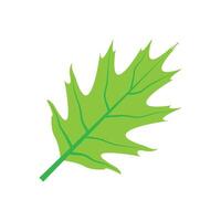 leaf logo design vector