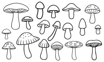 set of various doodle mushrooms drawn on a white background vector