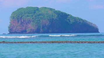 Lush Green Island in Calm Waters video