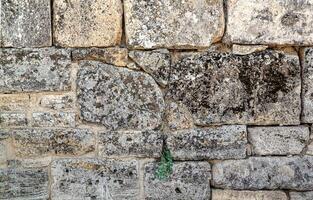The texture of the old wall. Vintage brick back. The wall is made of shell rock of various rectangular shapes. photo